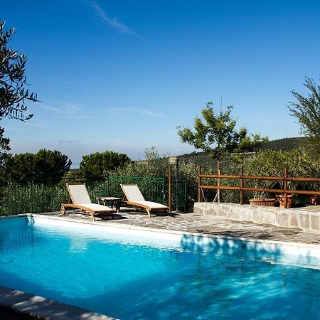 San Savino  Genius Apartments מראה חיצוני תמונה